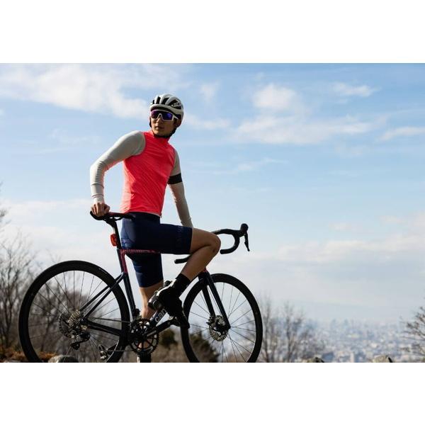Panaracer（パナレーサー） 自転車 タイヤ アジリスト デューロ 2本