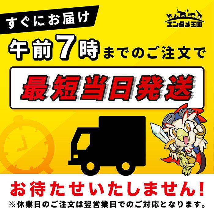 任天堂（Nintendo） ファミコン NEWファミコン AV仕様 ファミリー