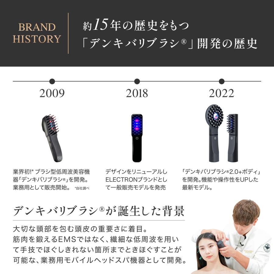 ELECTRON（エレクトロン） エレクトロン公式 デンキバリブラシ (R) 2.0