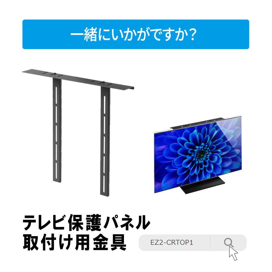 SANWA SUPPLY（サンワサプライ） テレビ保護パネル 48インチ対応 49