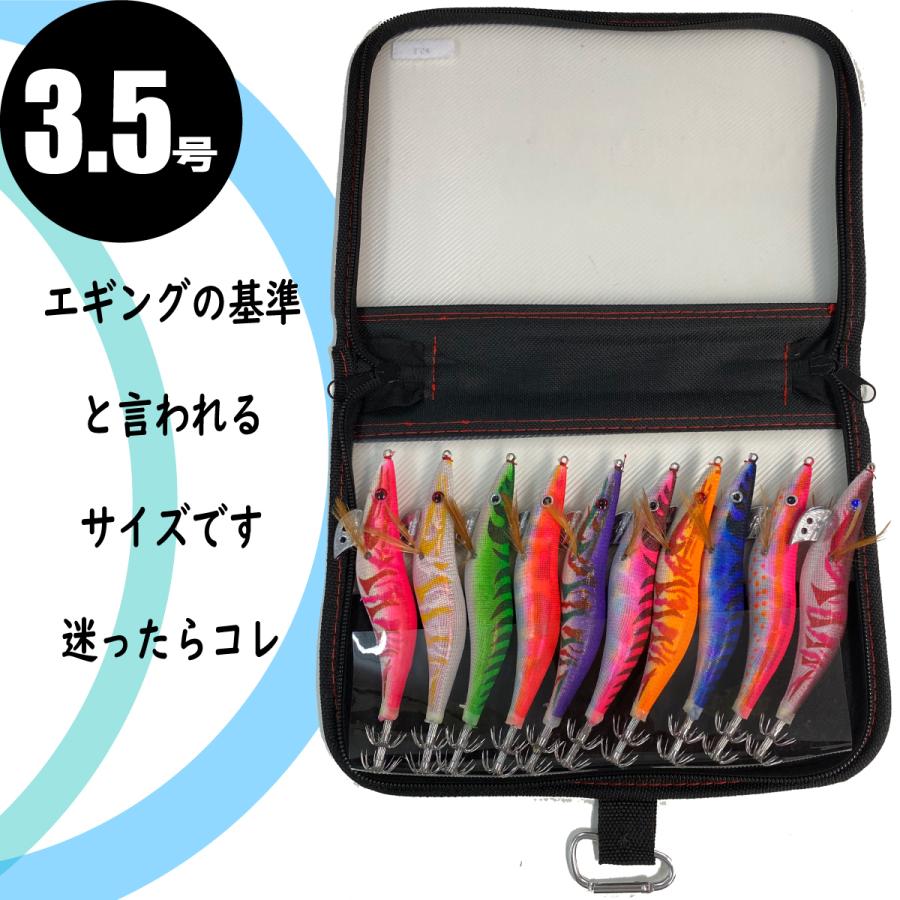 エギ エギング10点 餌木 イカ釣り 3.5号 3.0号 2.5号 ルアー 収納