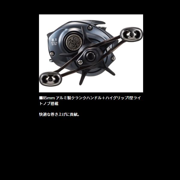 DAIWA（ダイワ） (特別価格) 25 タトゥーラ SV TW 100HL (2024年 新