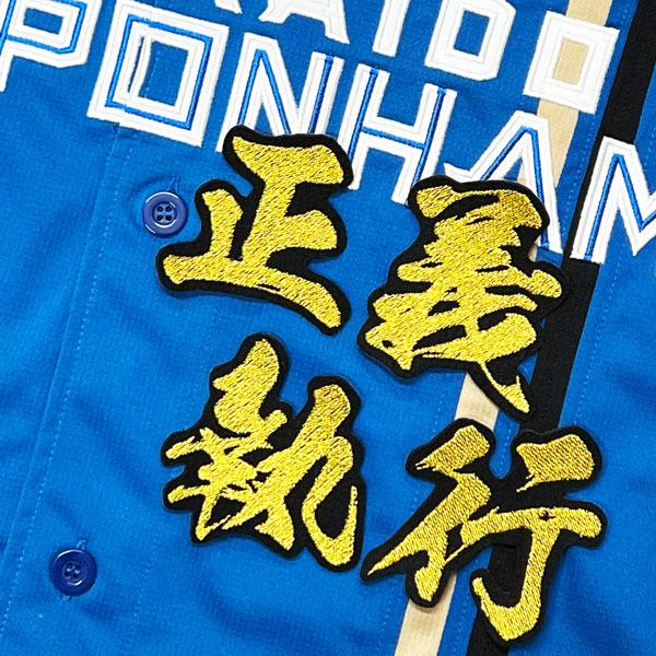 ☆送料無料☆北海道 日本ハム ファイターズ 日ハム 正義執行 田中正義