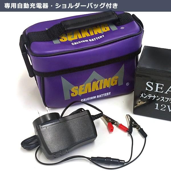ウッドマン シーキング 12V−8A カルシウムバッテリー メンテナンス