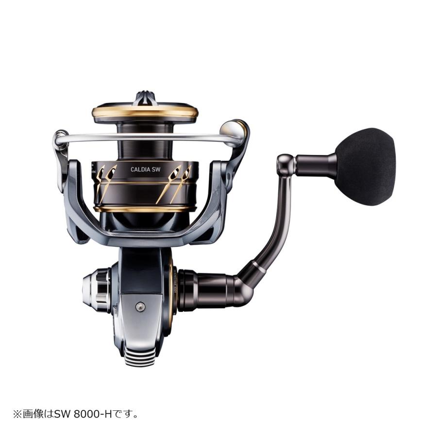 DAIWA（ダイワ） 22カルディア SW 10000-H（CALDIA） : フィッシング