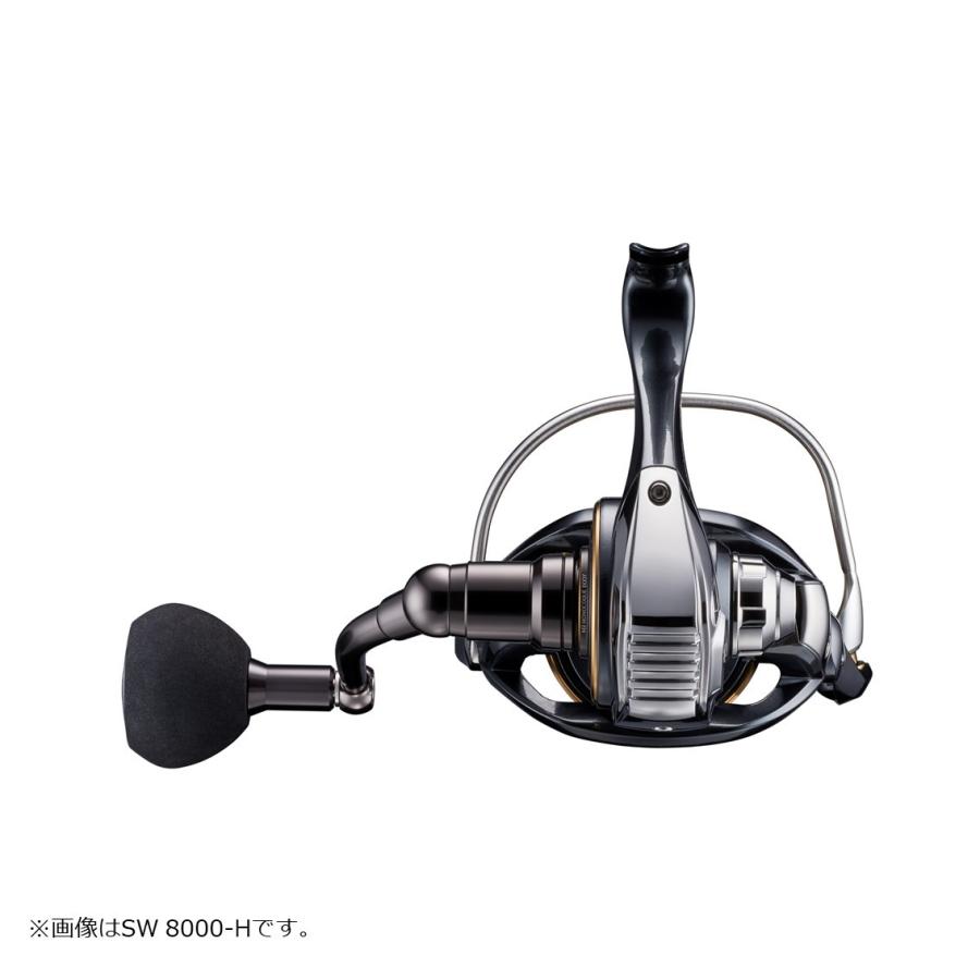 DAIWA（ダイワ） 22カルディア SW 14000-H（CALDIA） : フィッシング