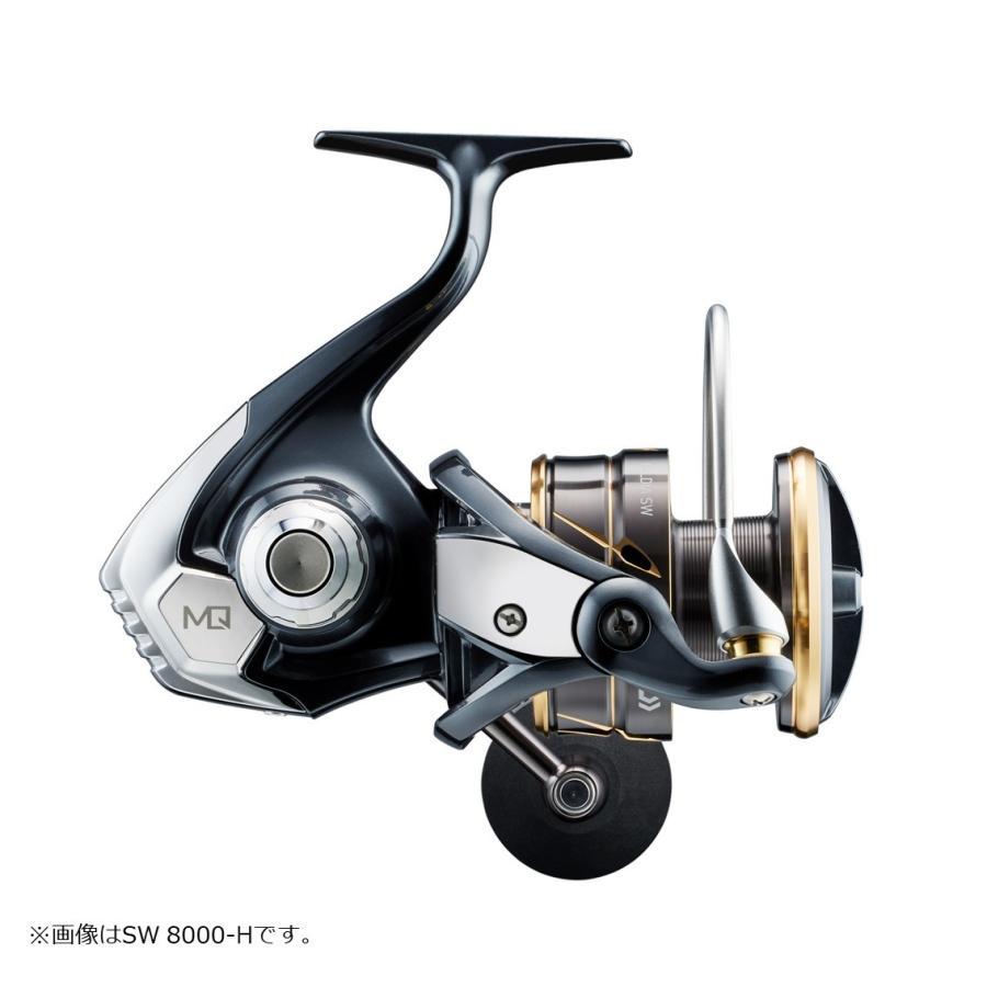 DAIWA（ダイワ） 22カルディア SW 4000D-CXH（CALDIA） : フィッシング