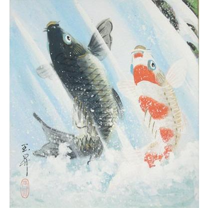 絵画（色紙額） 夫婦滝昇り鯉 （松橋玉昇） 【肉筆】【日本画】【鯉