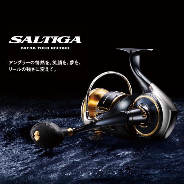 DAIWA（ダイワ） [90] 25 ソルティガ 14000-XH (G1) : かめや釣具