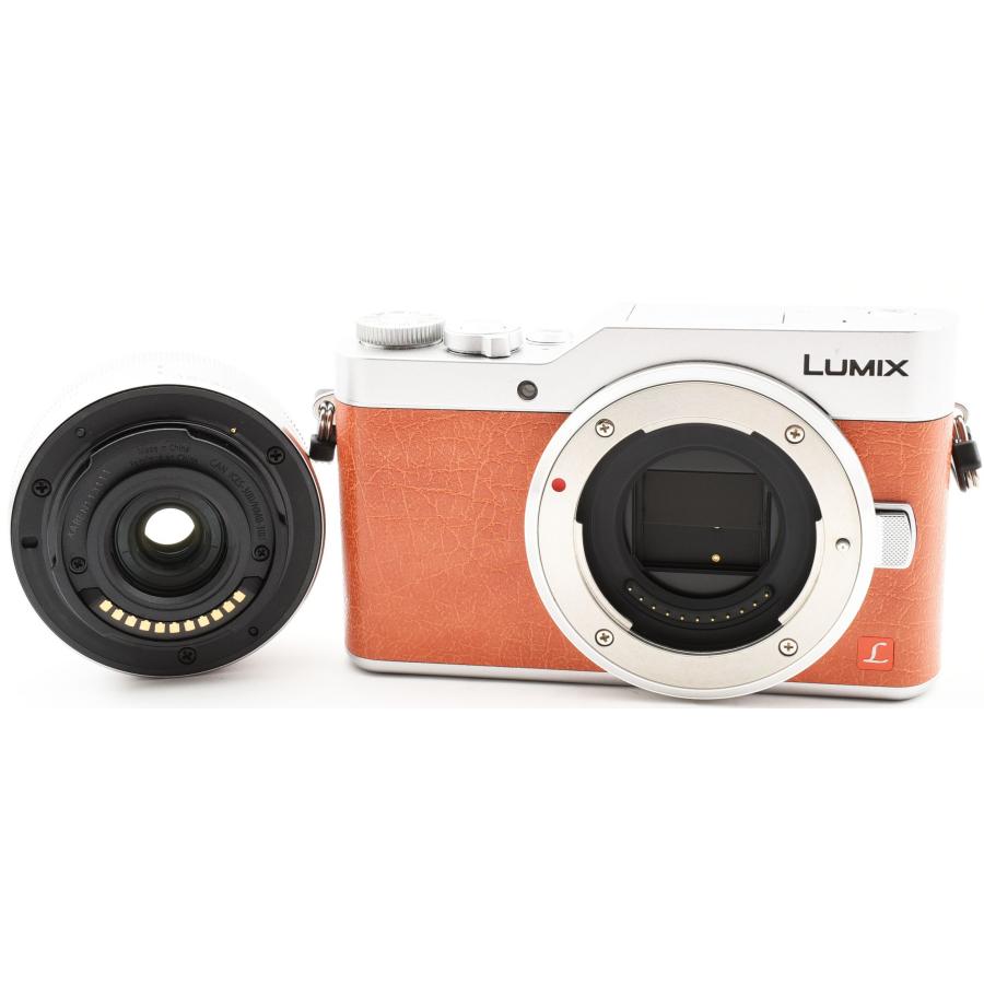 LUMIX Gシリーズ パナソニック ミラーレス Panasonic DC-GF9 レンズ