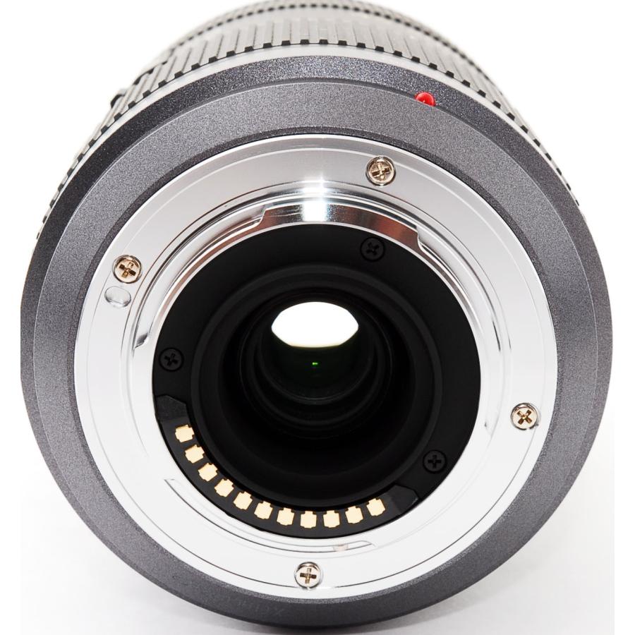 LUMIX Gシリーズ パナソニック 望遠レンズ Panasonic G VARIO 45-200mm