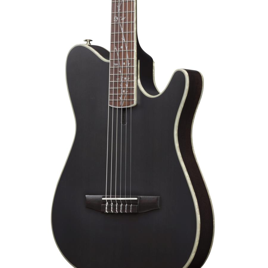 Ibanez（アイバニーズ） Ibanez / TOD10N-TKF Transparent Black Flat
