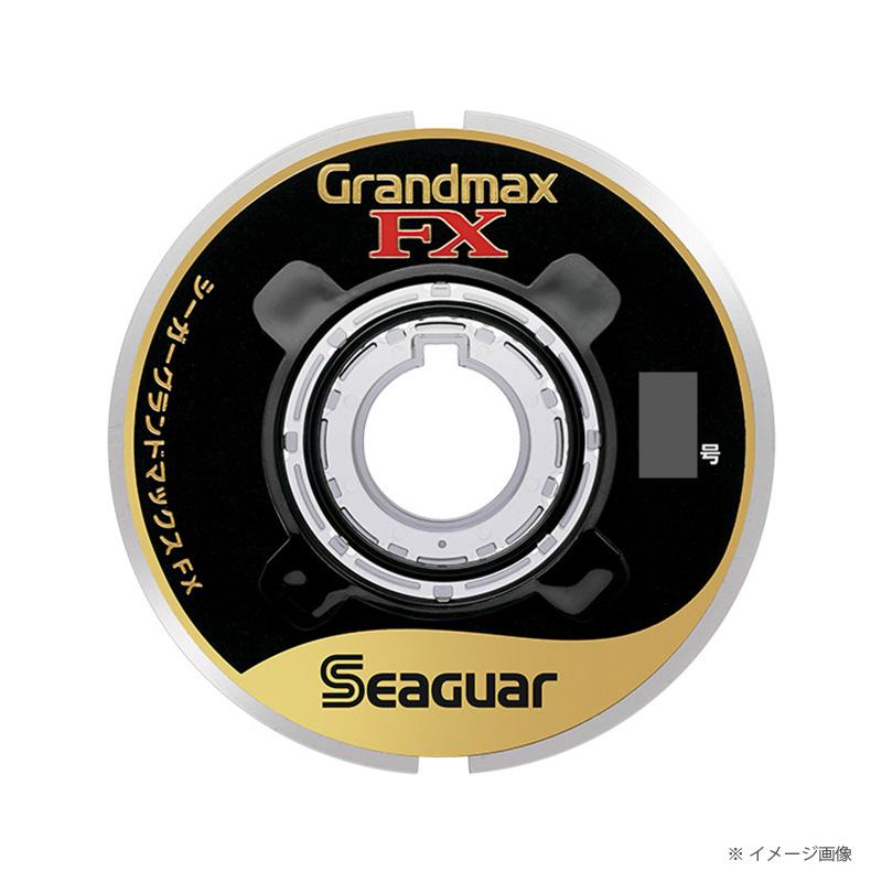 Seaguar（シーガー） グランドマックスFX フロロカーボン ショック
