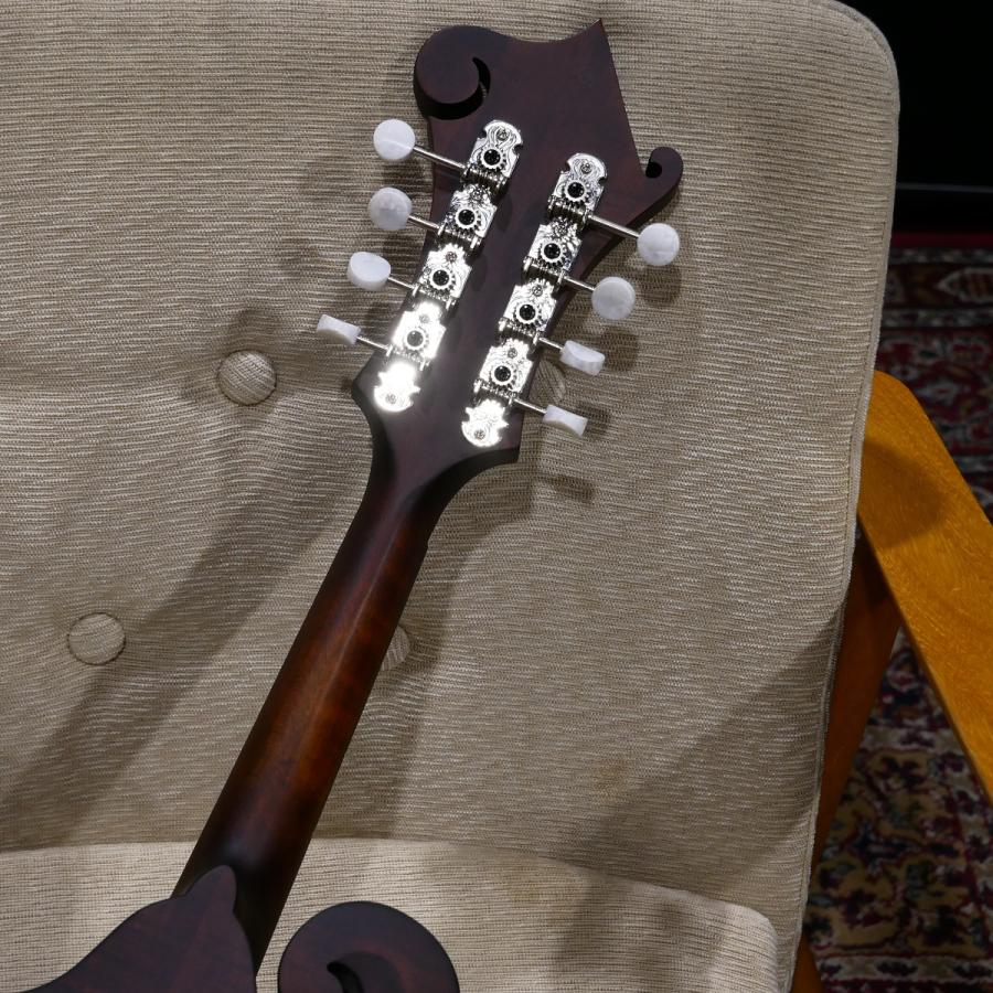 Eastman / MD 314 F-スタイルマンドリン マンドリン イーストマン