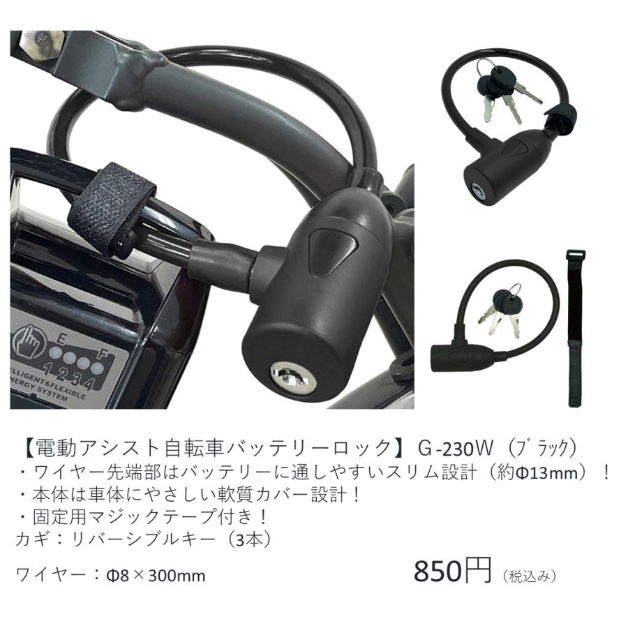 Panasonic（パナソニック） 電動自転車 ハリヤ（Hurryer）12.0Ah 26