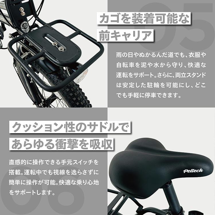 PELTECH（ペルテック） メーカー直送 電動アシスト自転車 PELTECH X