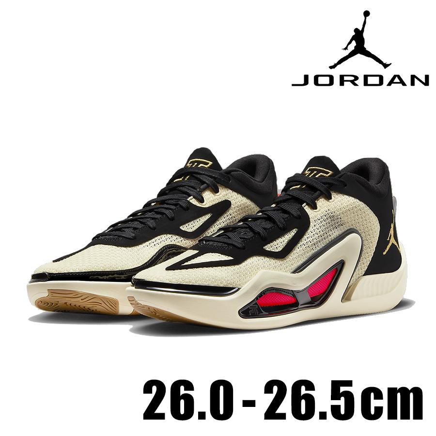 Jordan NIKE JORDAN TATUM 1 Barbershop PF DX5574 180 メンズ