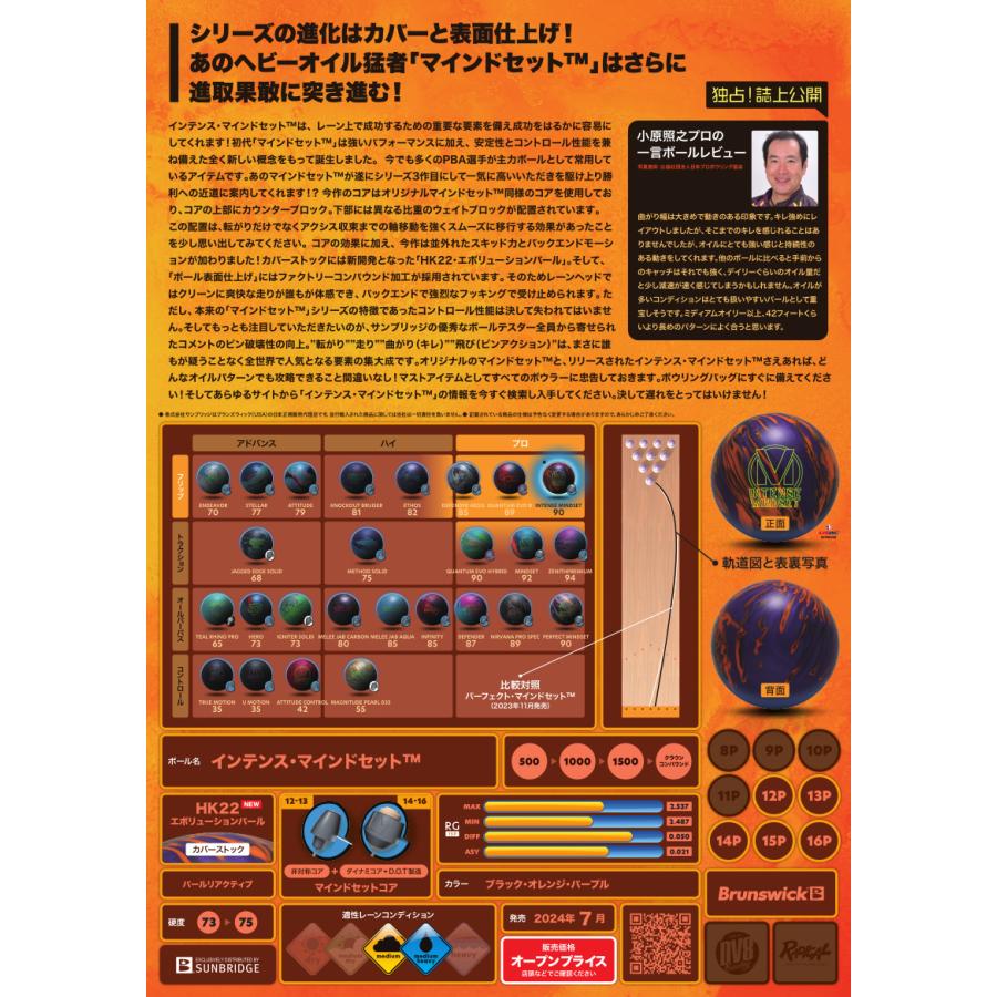 SALE】インテンス マインドセット ブランズウィック Brunswick