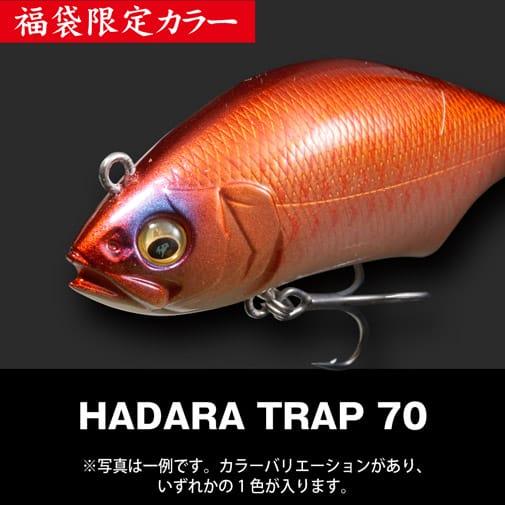 Megabass/メガバス 2026福袋 SALT SET : murauchi.co.jp - 通販