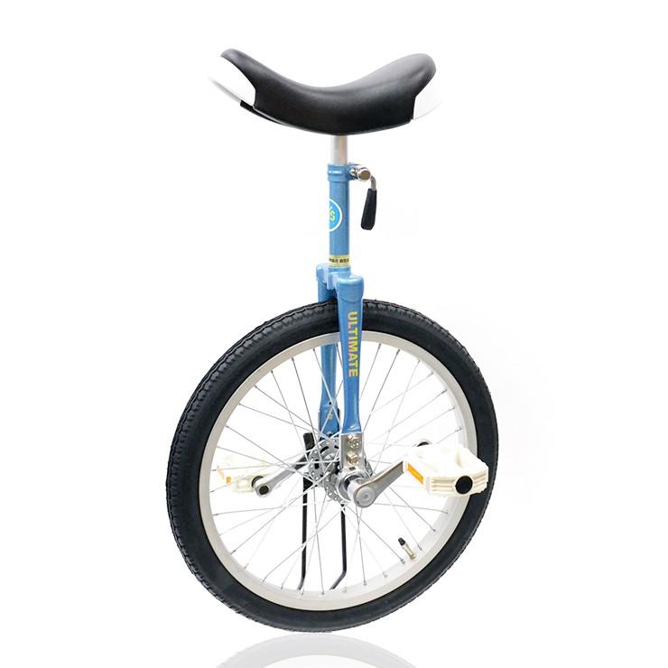 公社)日本一輪車協会認定品 小学校愛用モデル 一輪車 子供用 競技用 18