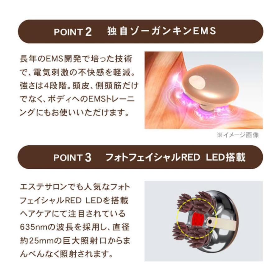 ZOGANKIN SCALP ゾーガンキンスカルプ CL-ZKS EMS ヘッドスパ