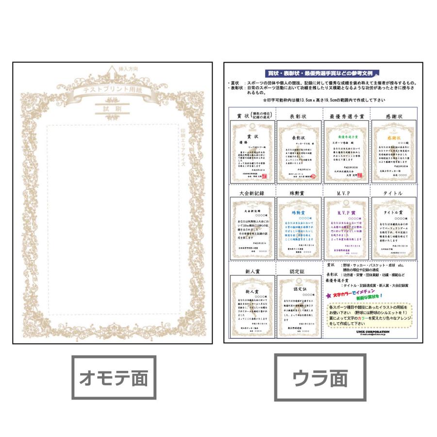ユニックス UNIX 種目別賞状用紙 ソフトボール 賞状 A4 10枚 テスト