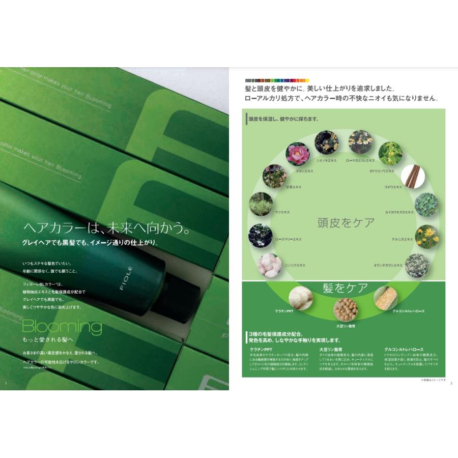 FIOLE（フィヨーレ） BLカラー 8GA 120g (FIOLE ヘアカラー剤 1剤