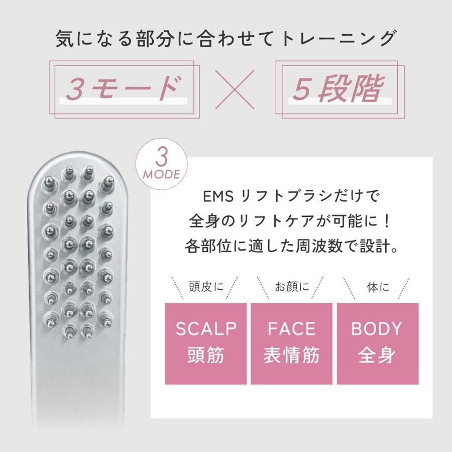 SALONIA（サロニア） emsリフトブラシ sal22206sl 美顔器 ems フェイス