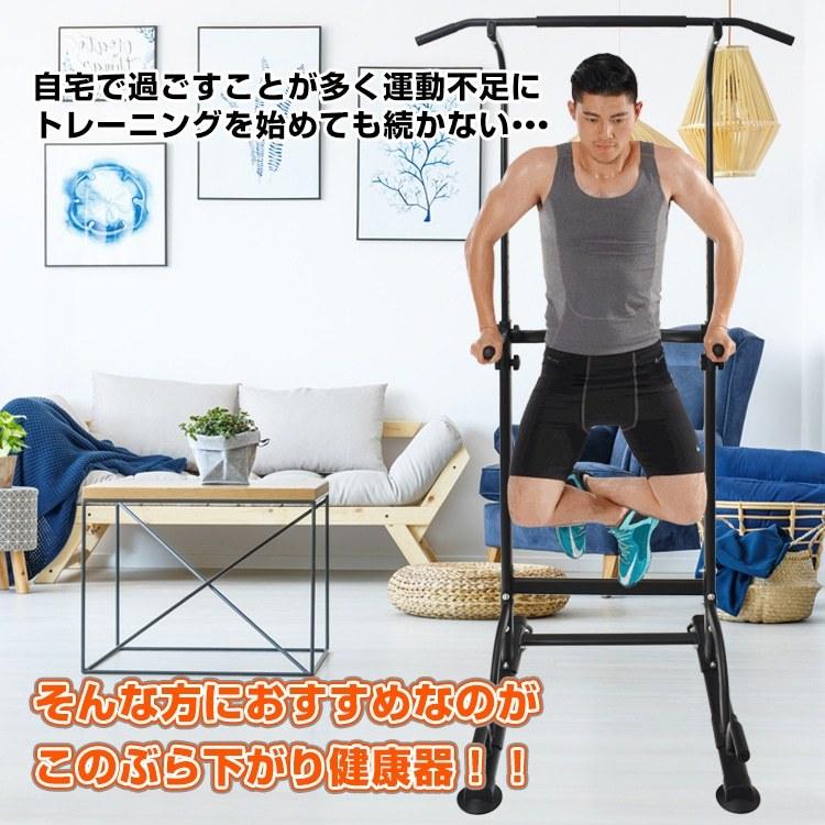 plusnao（プラスナオ） ぶら下がり健康器 ぶら下がり器 高さ調節 懸垂