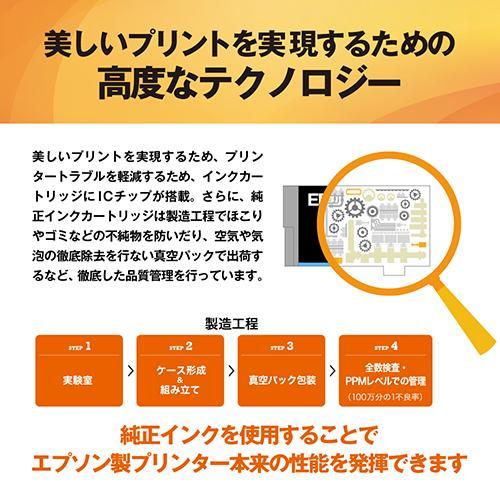 エプソン(EPSON) IB09KB 純正 インクカートリッジ ブラック 大容量