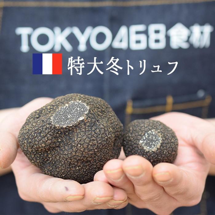 送料無料】＜特大＞ フレッシュ 冬トリュフ 黒トリュフ）エクストラ