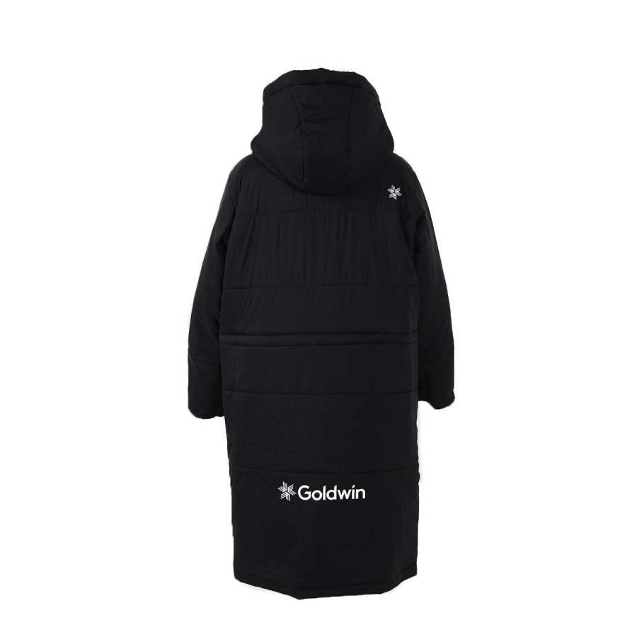 GOLDWIN（ゴールドウイン） 【エントリーでP最大17倍！27日〜】スキー