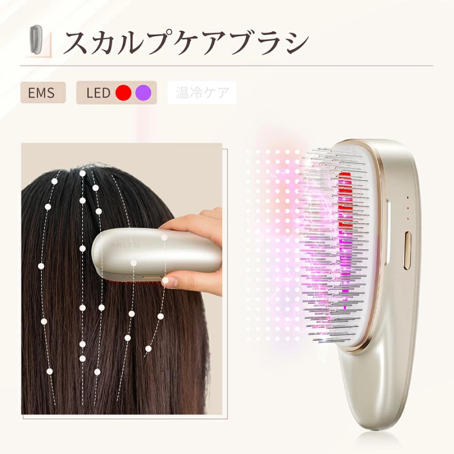カッサ 多機能 4種類ヘッド スカルプブラシ 対応 充電式 anlan : 厳選