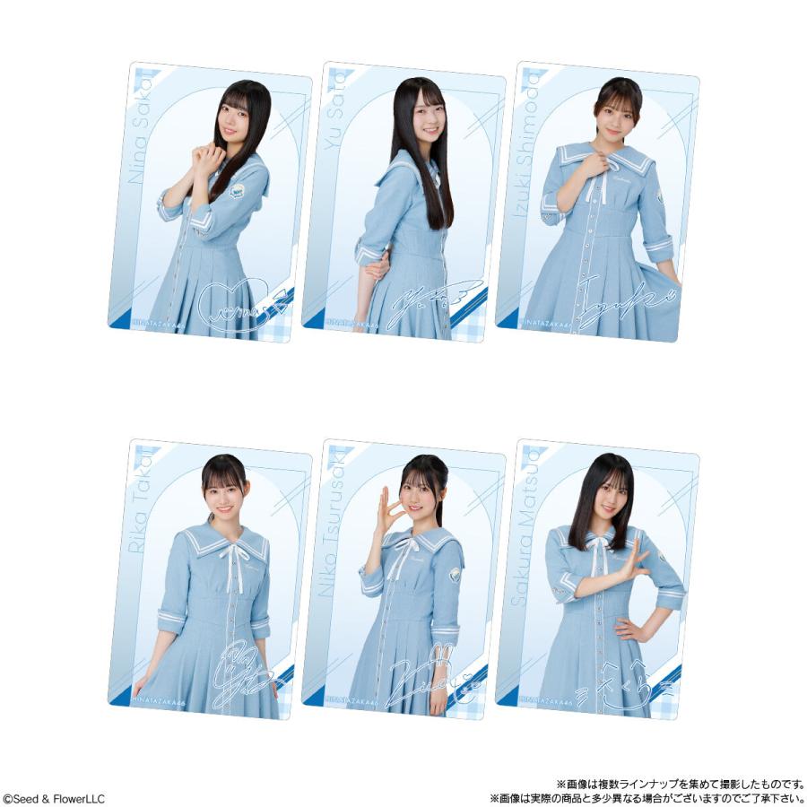 バラ10個セット 日向坂46 ツインウエハース 2025 販路限定 ツイン