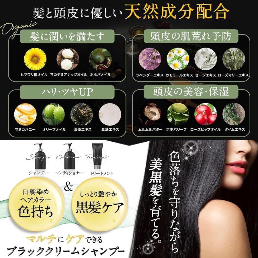 CREME DE ANN（クレムドアン） ブラッククリームシャンプー 1袋 400g
