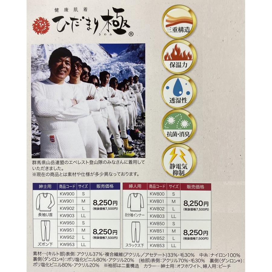 ひだまり 紳士用 上下セット ひだまり極 健繊 健康肌着 ズボン下 長袖U