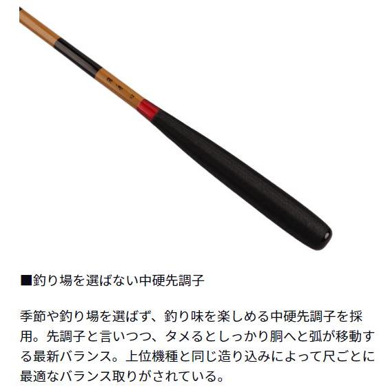 DAIWA（ダイワ） 24 陽舟 10・W 並継へら竿 : つり具の銭屋 - 通販