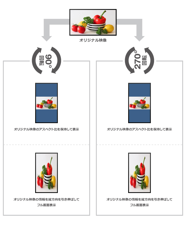 GeoBox G-106 幾何学補正プロセッサー | ジャパンマテリアルジャパン