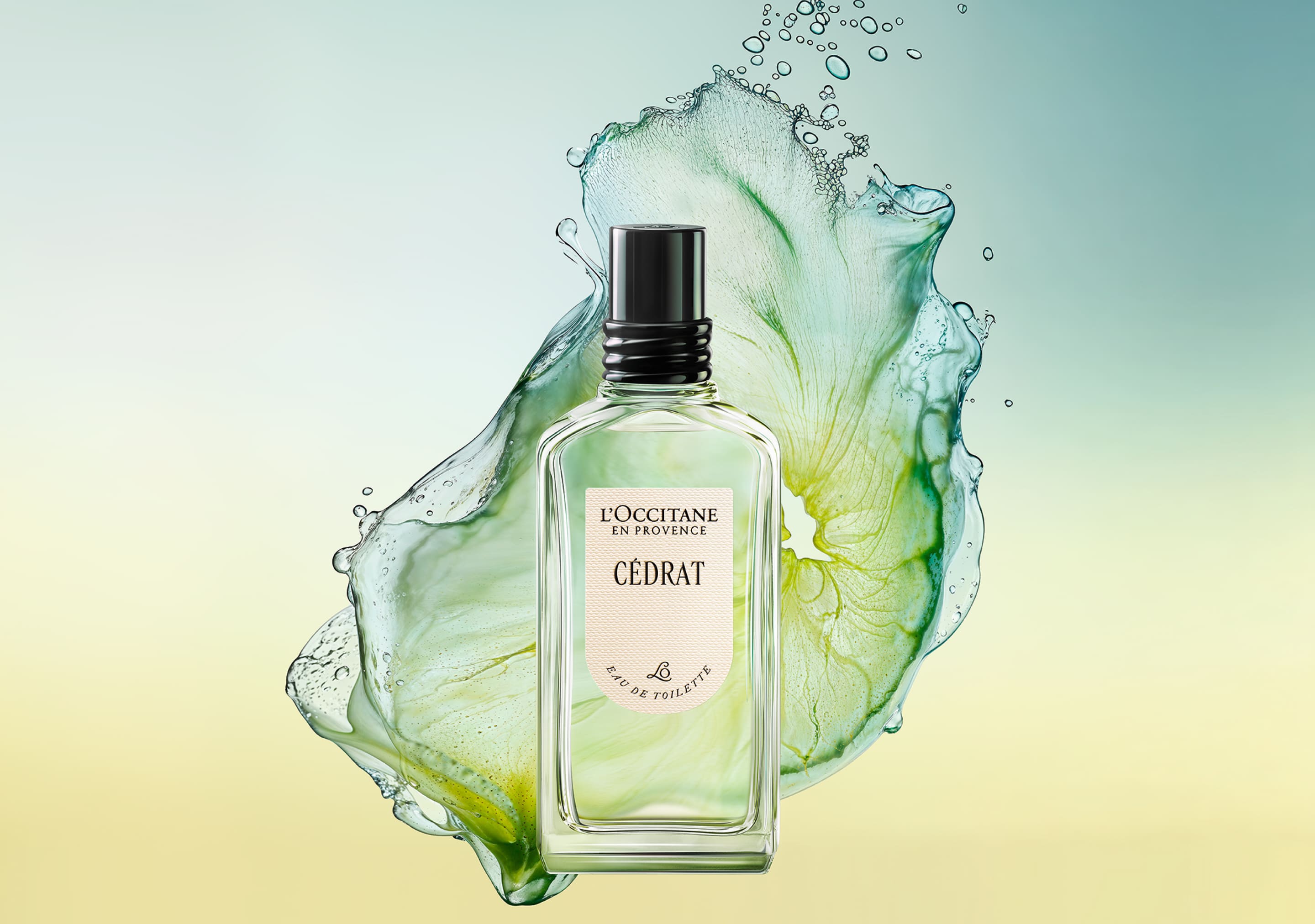 セドラ - ART OF SCENT(ロクシタンのフレグランス) | L'Occitane JP