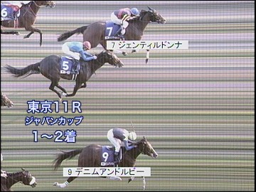 JRAホームページ｜データファイル｜競走成績データ