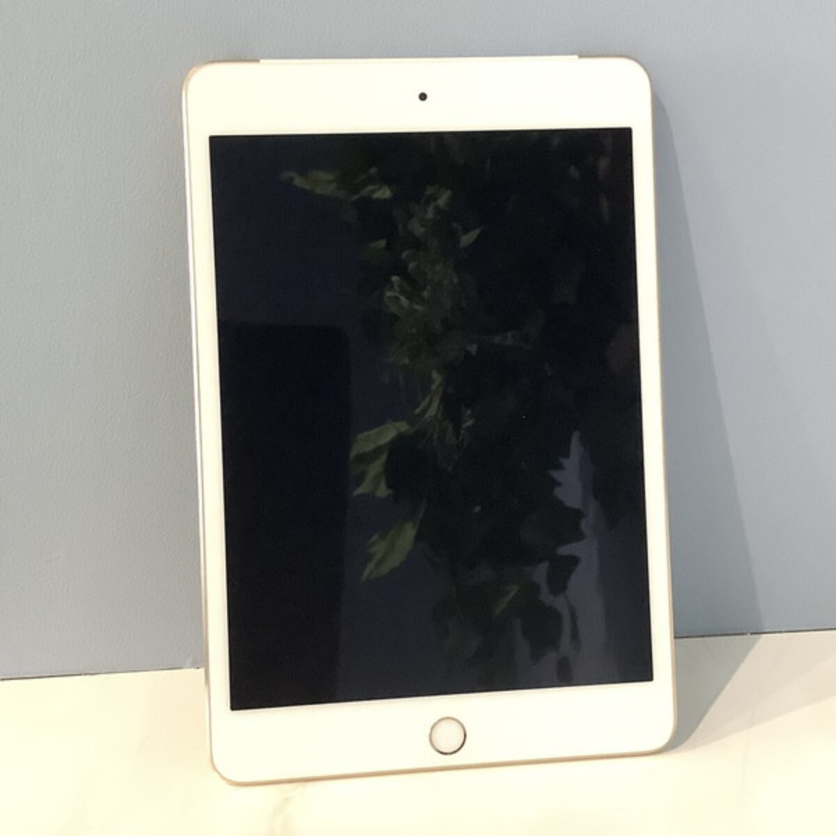 iPad mini4 16GB A1550】の買取価格と査定ポイントをご紹介！ | 買取