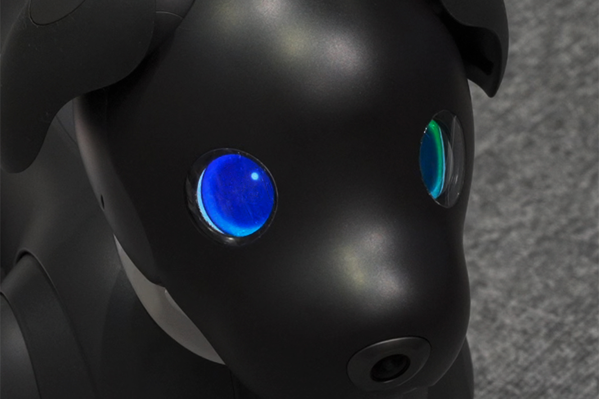 aibo「ERS-1000」誕生5周年として、2023年カラーモデル「aibo