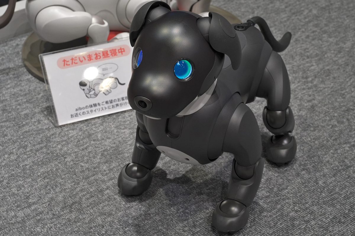 aibo「ERS-1000」誕生5周年として、2023年カラーモデル「aibo