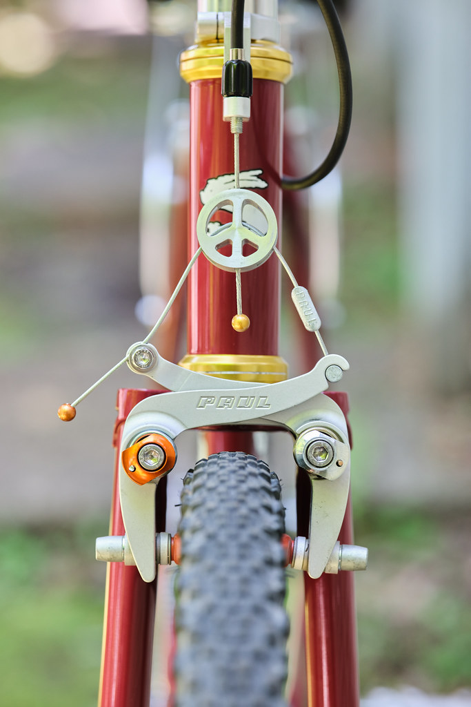 SURLY* steamroller / BUILT BY BLUE LUG - CUSTOMER'S BIKE CATALOG