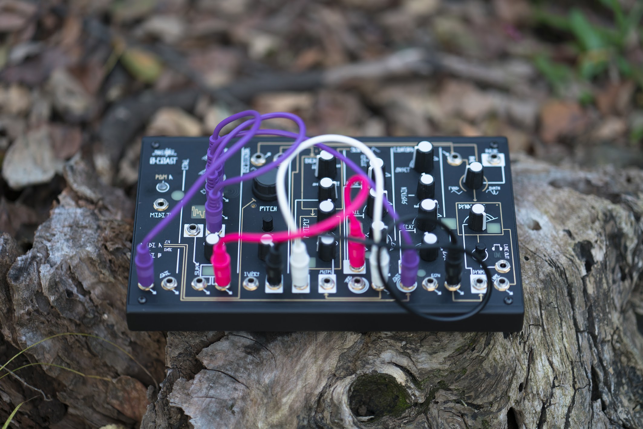 赤ちゃんでも楽しめるMake Noise 0-Coast – Akihiko Matsumoto Blog
