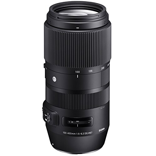 悩んだ】超望遠ズームレンズ購入～SIGMA100-400mm F5-6.3 DG OS HSMへ