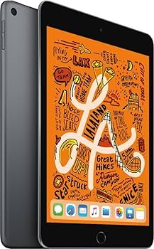 Amazon.com : Apple 2019 iPad mini 7.9-inch, WiFi, 256GB - Space