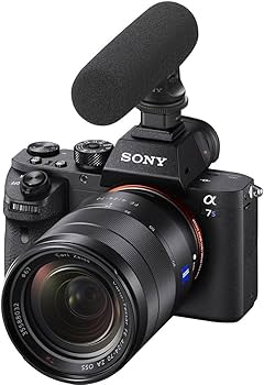 Amazon.com : Sony ECMGZ1M Gun / Zoom Microphone (Black) : Electronics