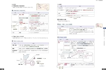薬ゼミの要点集 病態・薬物治療（薬剤師国家試験対策参考書） (薬ゼミ