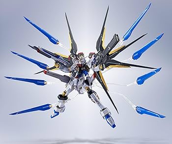 Amazon.co.jp: METAL ROBOT魂 ＜SIDE MS＞ ストライクフリーダム